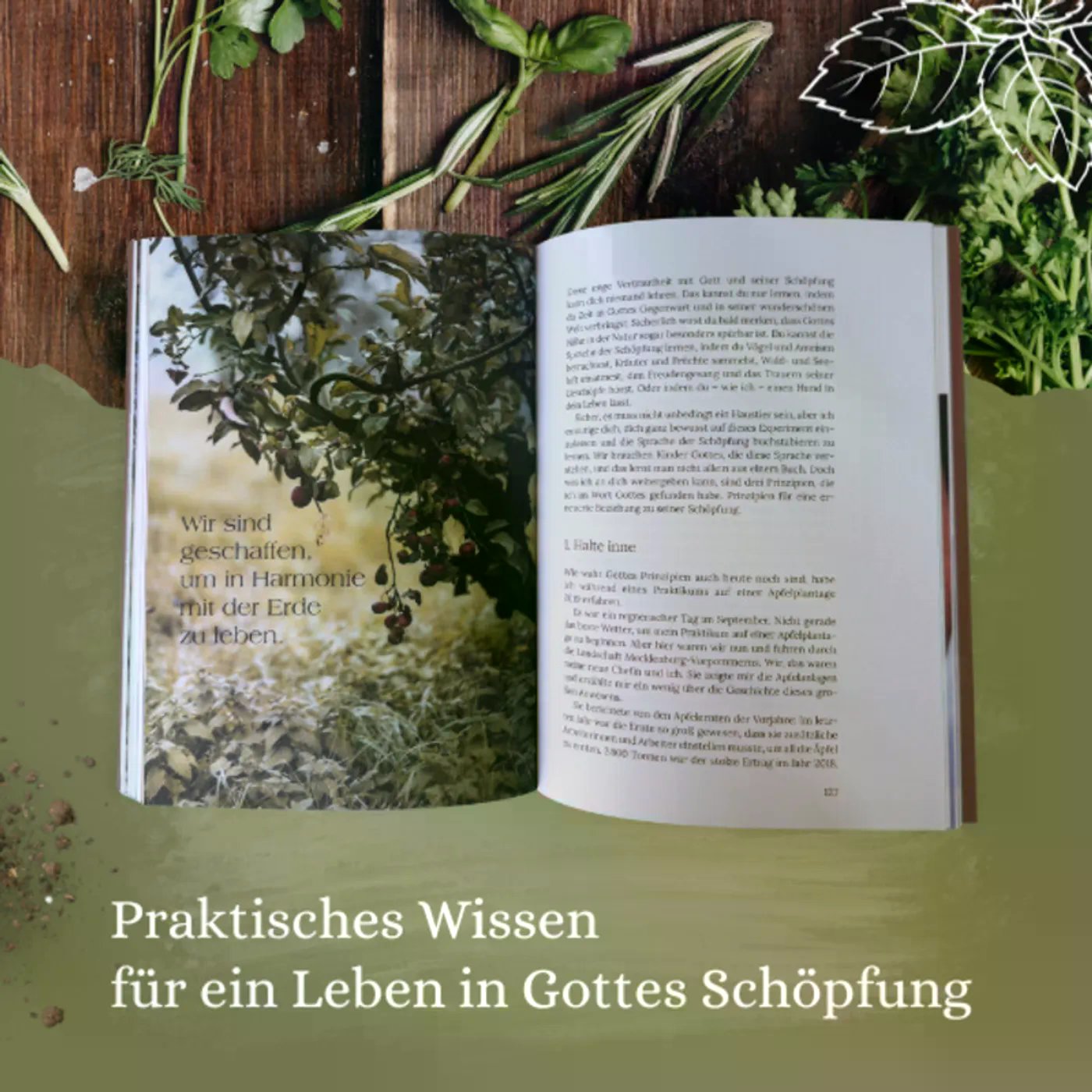 Und dennoch pflanze ich einen Garten - Wie wir in der Umweltkrise Samen der Hoffnung säen